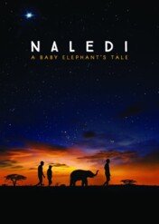 Naledi: A Baby Elephant's Tale / Naledi: A Baby Elephant's Tale