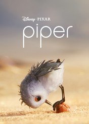 Pisklak / Piper