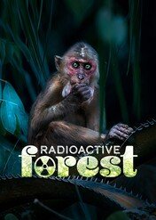 Radioactive Forest / Radioactive Forest