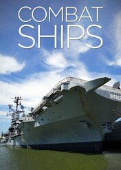 Okręty wojenne / Combat Ships