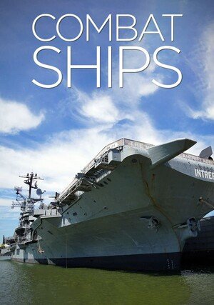 Okręty wojenne / Combat Ships