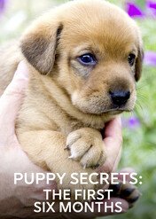 Tajemnice szczeniaków / Puppy Secrets: The First Six Months