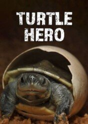 Turtle Hero: Ein Leben Fur Die Schildkroten / Turtle Hero: Ein Leben Fur Die Schildkroten