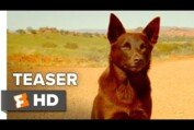 Red Dog: True Blue Official Teaser Trailer 1 (2016) - Jason Isaacs, Levi Miller Movie HD