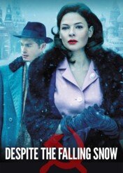 Zimna tajemnica / Despite the Falling Snow