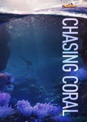 Chasing Coral / Chasing Coral
