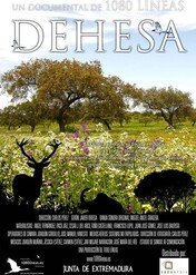 Dehesa - europejski cud przyrody / Dehesa