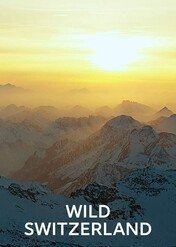 Dzika Szwajcaria / Wild Faces of Switzerland
