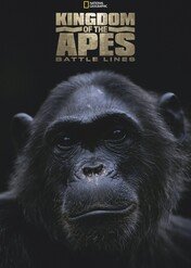 Królestwo małp / Kingdom of the Apes