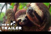 Earth - One Amazing Day Trailer (2017) Nature Documentary Movie