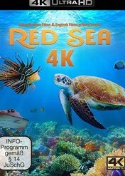 Morze Czerwone / Red Sea