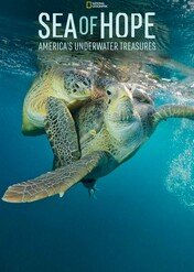 Morze nadziei: podwodne skarby Ameryki / Sea of Hope: America's Underwater Treasures