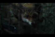 SPOOR (POKOT) - trailer EN
