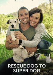 Super-psy / Rescue Dog to Super Dog