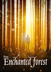 The Enchanted Forest / The Enchanted Forest