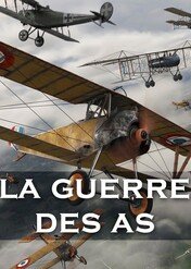 Wojna asów przestworzy / The Aces' War