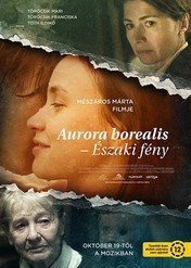 Zorza polarna / Aurora Borealis: Northern Lights