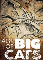 Age of Big Cats / Age of Big Cats