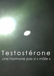 Cała prawda o testosteronie / Testosteron - Der Stoff aus dem die Männer sind