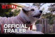 Dogs | Official Trailer [HD] | Netflix
