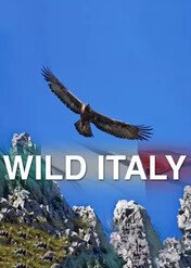 Dzika Italia / Wild Italy - Top Predators