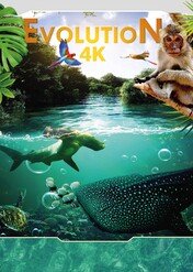 Evolution / Evolution