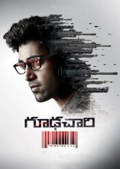 Goodachari / Goodachari