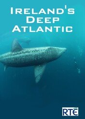 Podwodne cuda Atlantyku / Ireland's Deep Atlantic