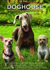 Life in the Doghouse / Life in the Doghouse