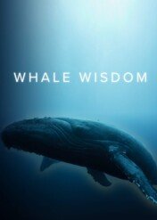 Mądrość wielorybów / Whale Wisdom