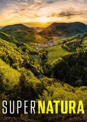 Supernatura / Supernature