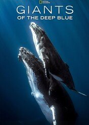 Tajemniczy świat wielorybów / Giants of the Deep Blue