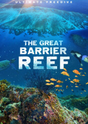 Wielka Rafa Koralowa / Great Barrier Reef