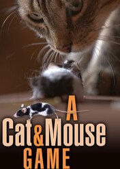 Zabawa w kotka i myszkę / A Cat and Mouse Game