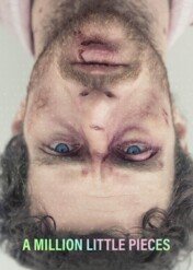 Milion małych kawałków / A Million Little Pieces