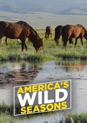 Ameryka: cztery pory roku / America's Wild Seasons