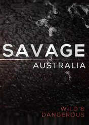 Dzika Australia / Wild Australia