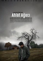 Dzika grusza / Ahlat agaci