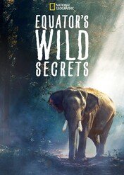 Dzika przyroda strefy równikowej / Equator's Wild Secrets