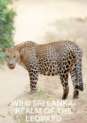 Dzika Sri Lanka: kraina lampartów / Wild Sri Lanka: Realm of the Leopard