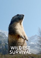 Dzikie ścieżki przetrwania / Wildest Survival