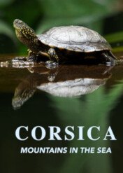 Korsyka, góry zanurzone w morzu / Corsica: Mountains in the Sea