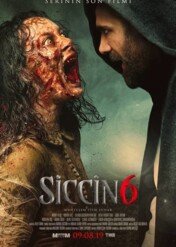 Księga grzechów 6 / Siccin 6