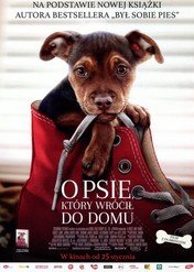 O psie, który wrócił do domu / A Dog's Way Home