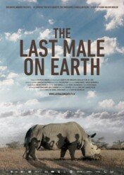 Ostatni taki nosorożec / The Last Male on Earth