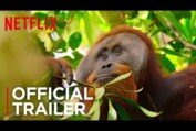 Our Planet | Official Teaser [HD] | Netflix