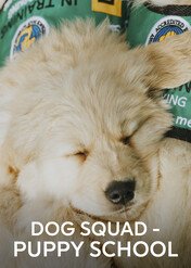 Pies na służbie: szkoła szczeniaków / Dog Squad - Puppy School