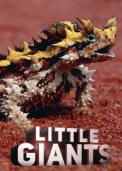 Supermoce małych stworzeń / Little Giants