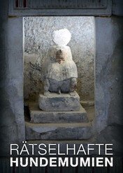 Tajemnice zwierzęcych mumii / The Secret of the Animal Mummies