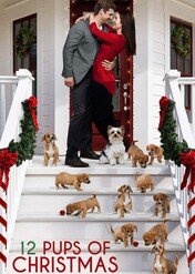 Weź pieska na święta / 12 Pups of Christmas